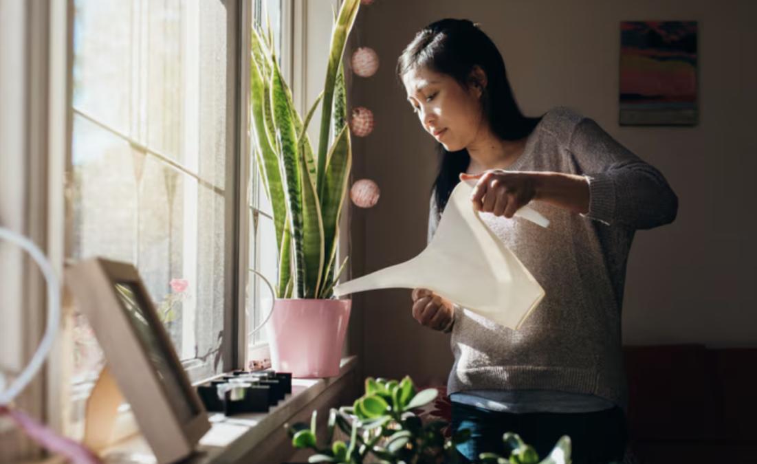 SOLD House Sitting / Condo Sitting / Condo Watching Business in South Florida  