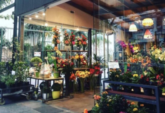 SOLD - Established Flower Shop in the FL Tri-County Area