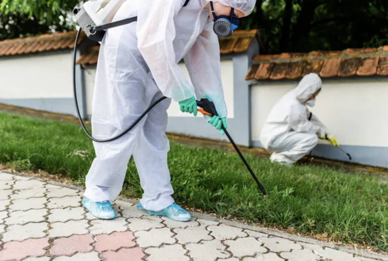 Established Pest Control Business for Sale in South Florida