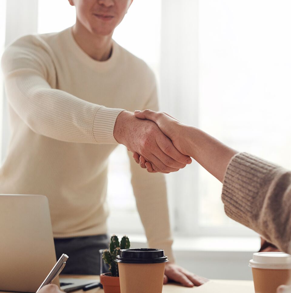 Business professionals shaking hands after closing a deal