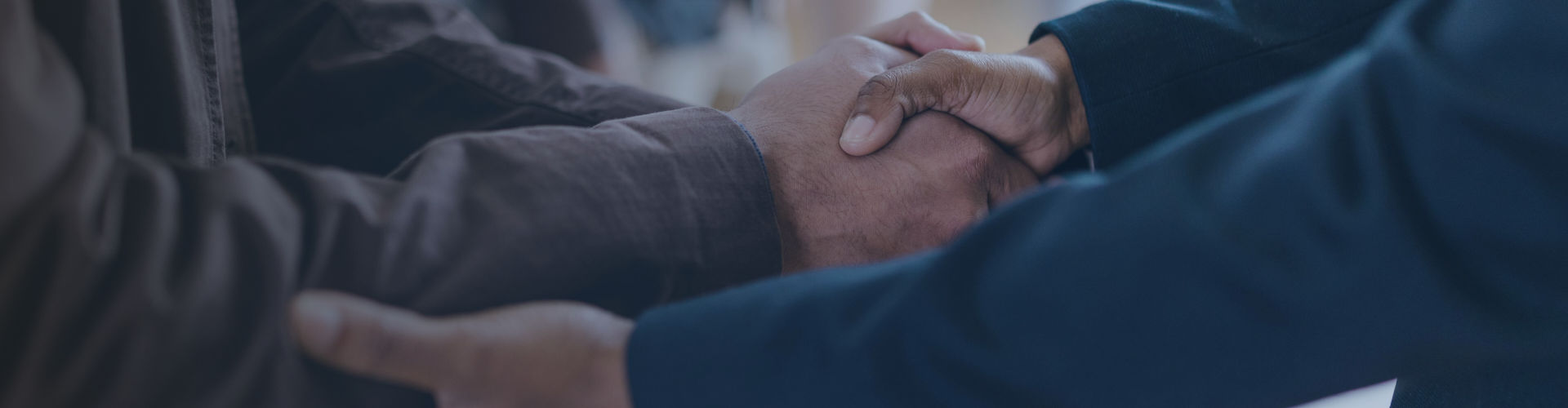 Gina Alexandre - Broker Profile